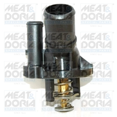 Thermostat, coolant